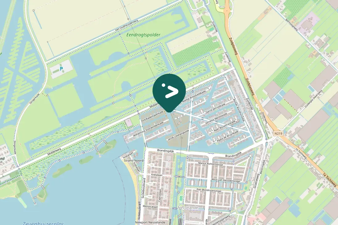 Waargenomen Slobeend