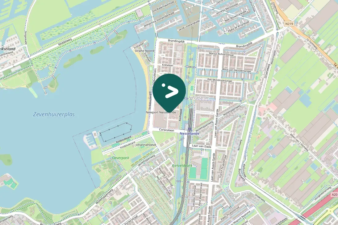 Waargenomen Lepelaar