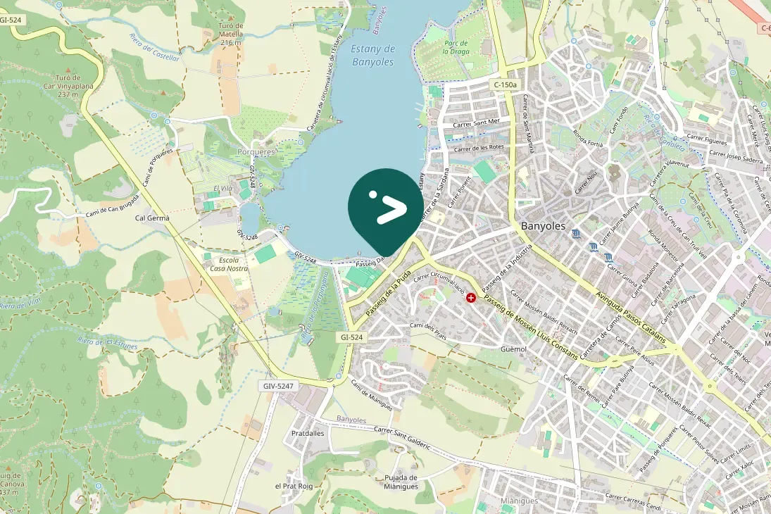 Waargenomen Turkse tortel