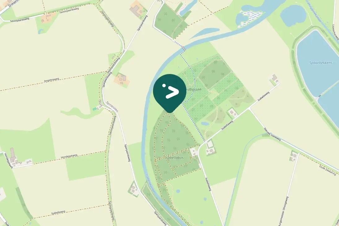Waargenomen Gekraagde roodstaart