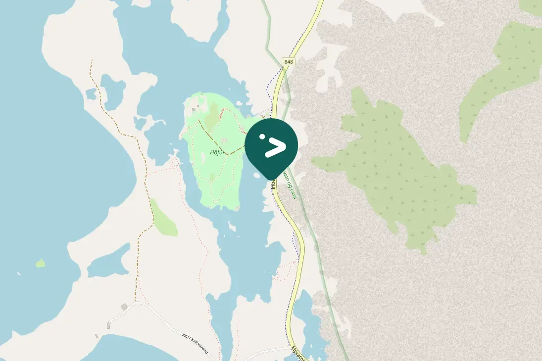 Spotted Barrow's Goldeneye