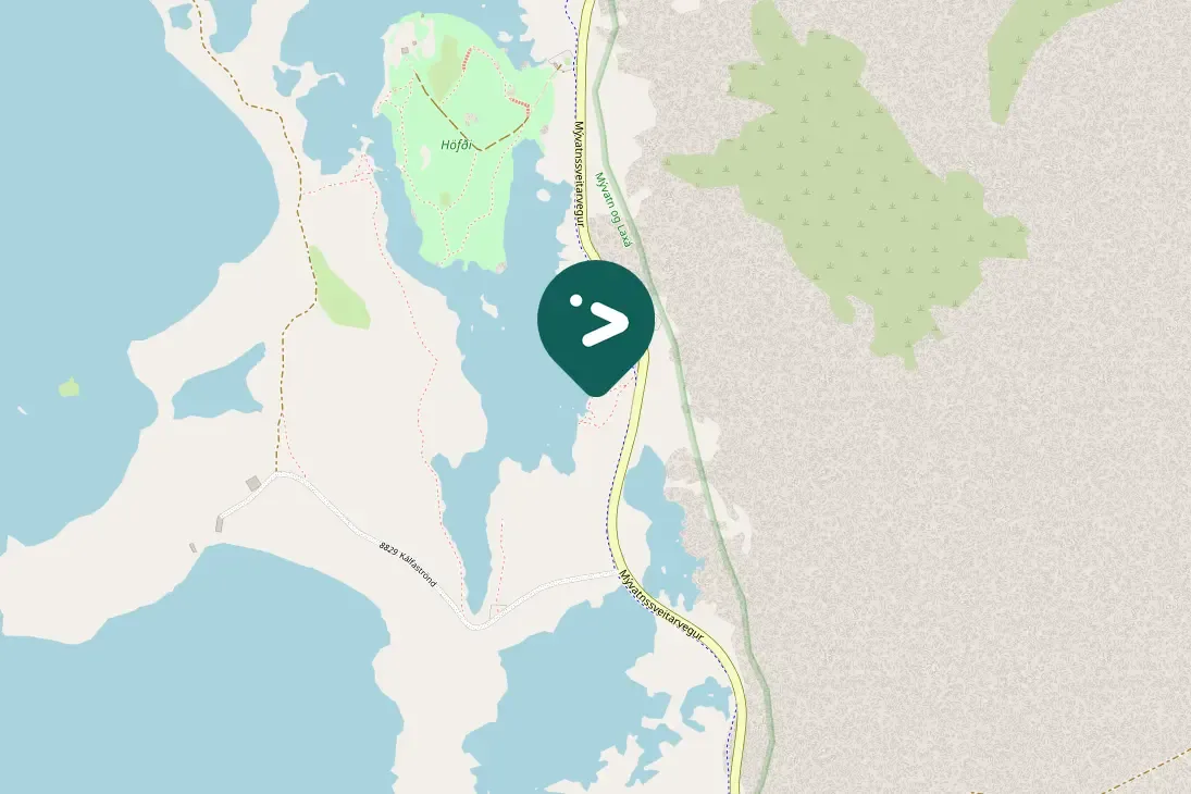 Spotted Greater Scaup