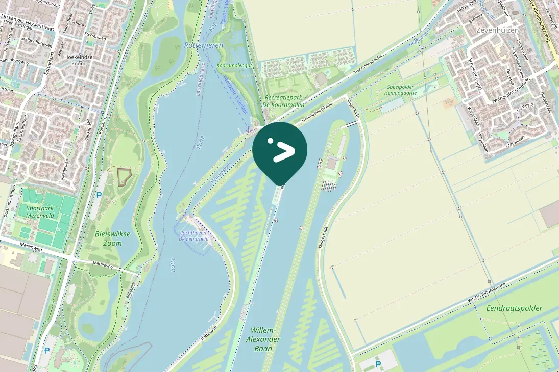 Spotted Great Crested Grebe