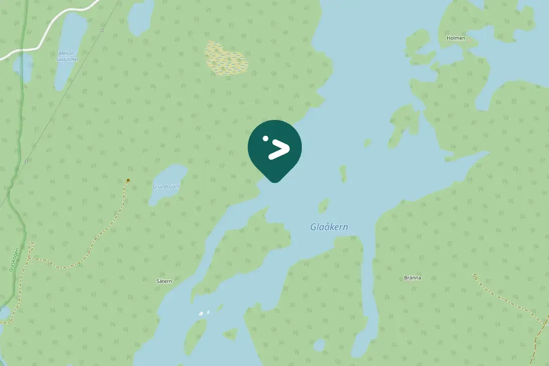 Spotted Arctic Loon