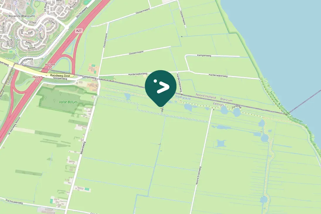 Spotted Green-winged Teal