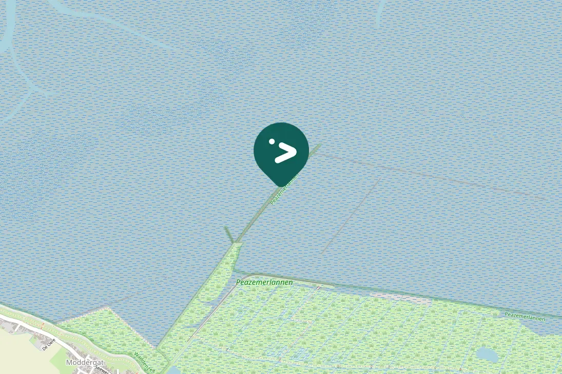 Spotted Eurasian Spoonbill