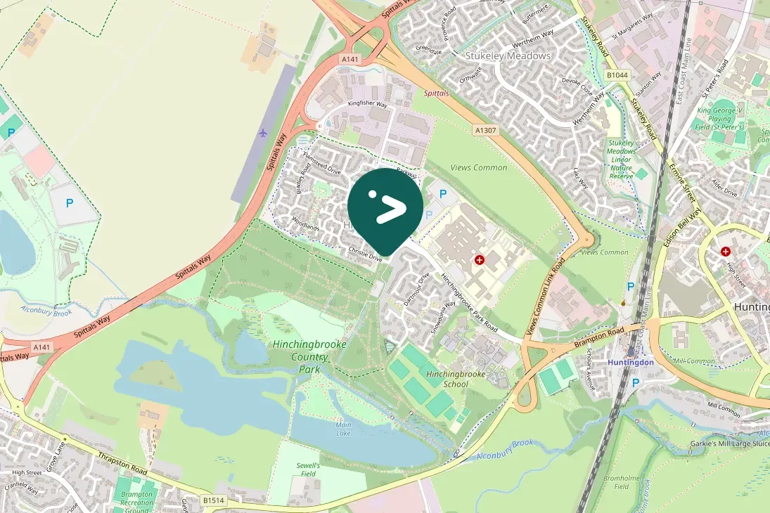 Spotted Eurasian Blue Tit