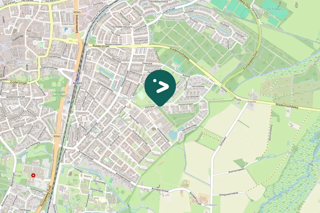 Waargenomen Groenpootruiter