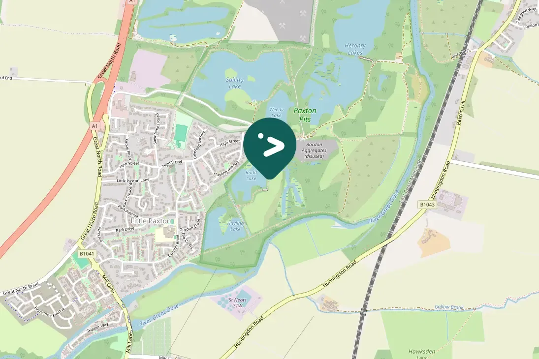 Waargenomen Oeverzwaluw