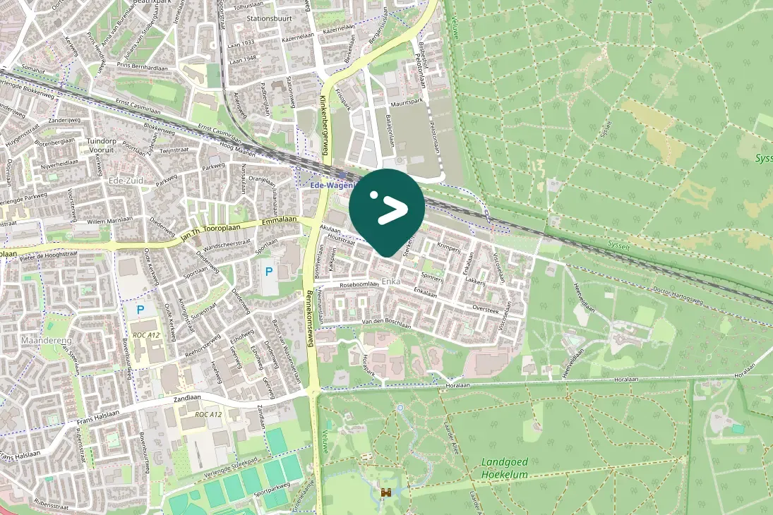 Waargenomen Zwarte roodstaart