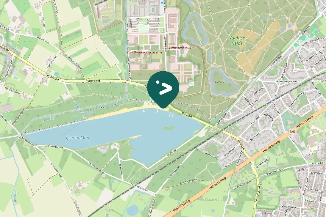 Waargenomen Brandgans