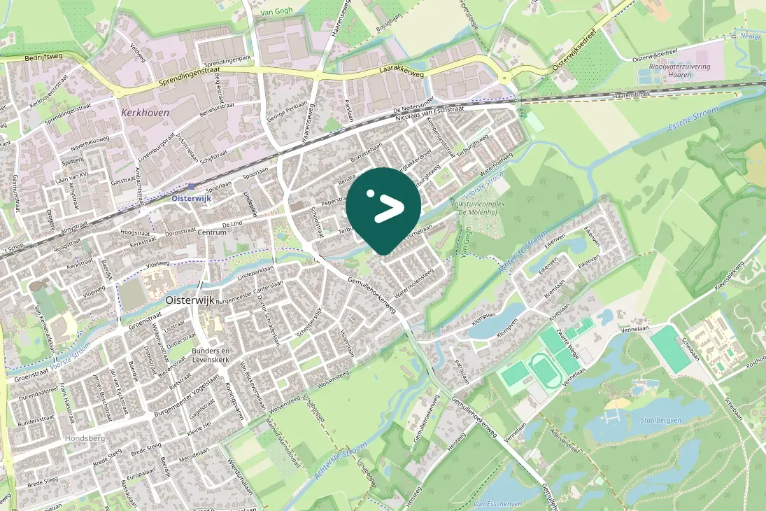 Waargenomen Zanglijster
