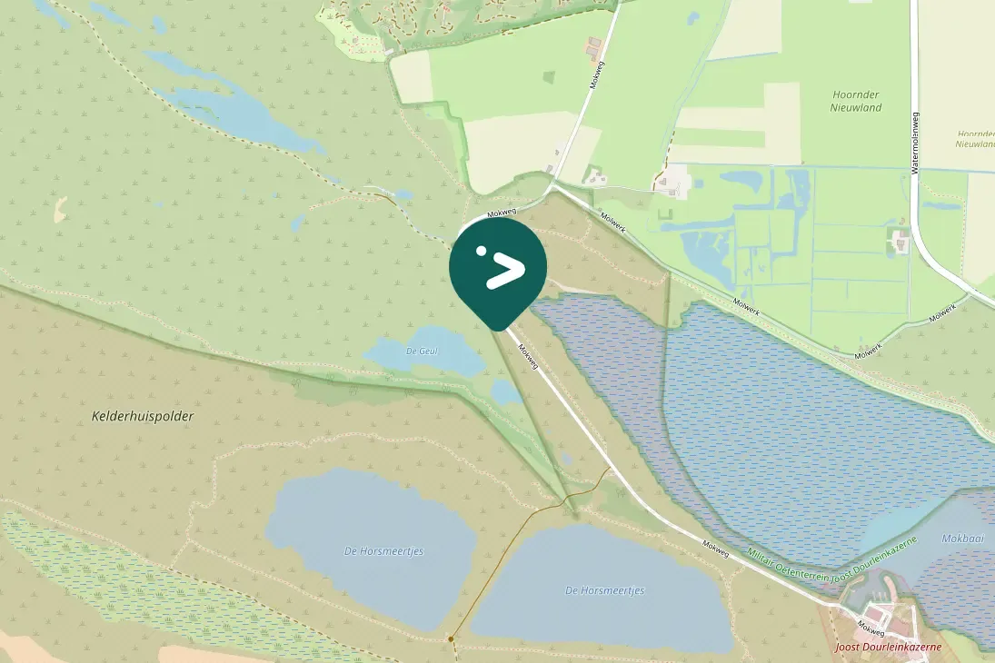 Waargenomen Grauwe gans