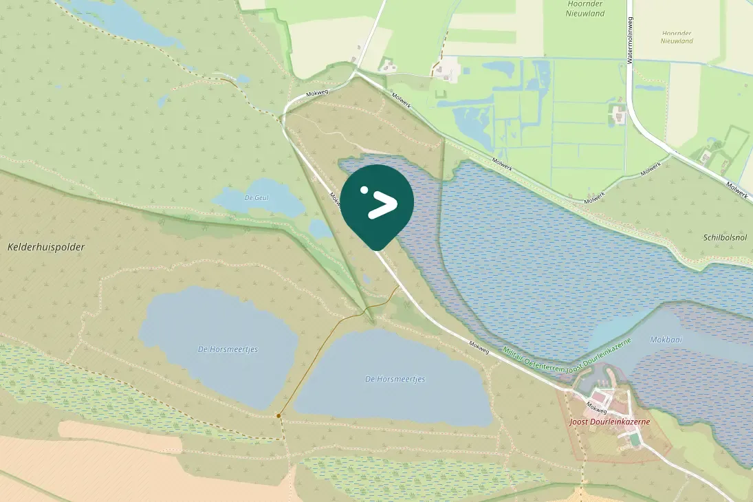 Waargenomen Kleine zilverreiger