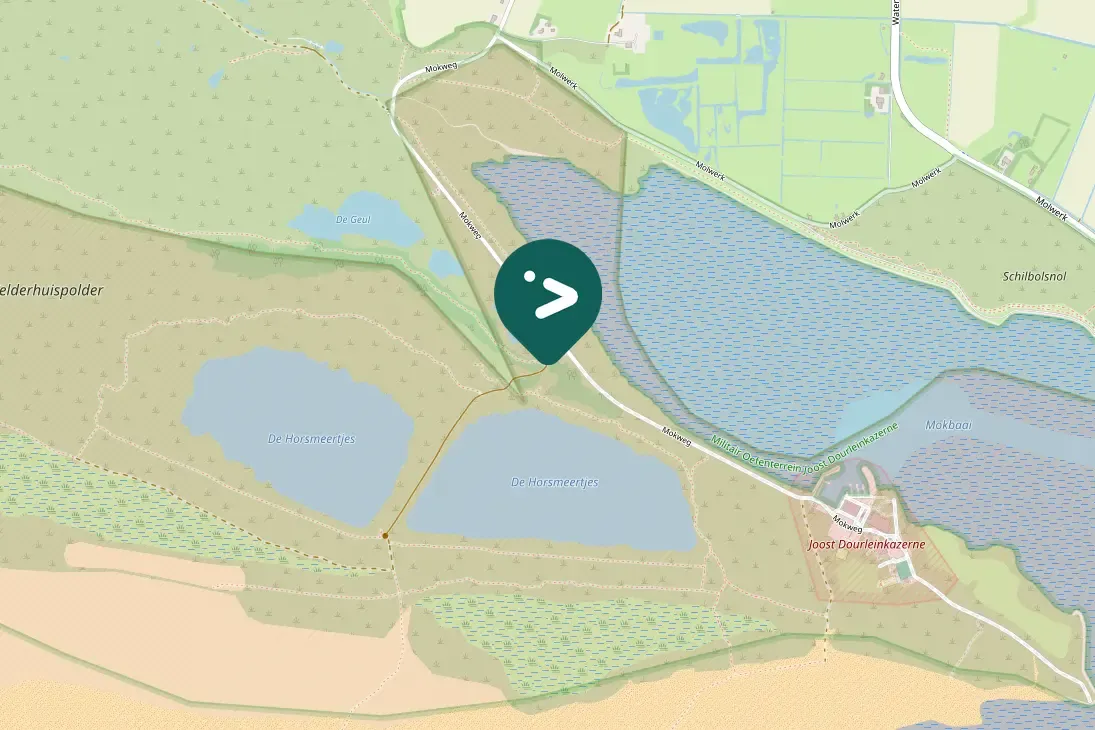 Waargenomen Eider