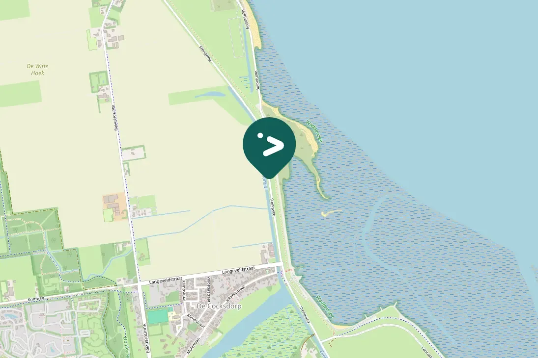 Waargenomen Witte kwikstaart