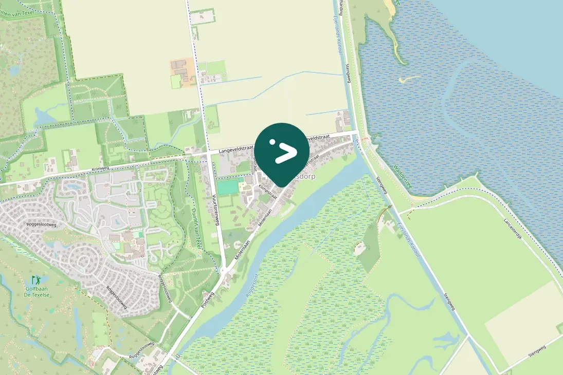 Waargenomen Grauwe gans