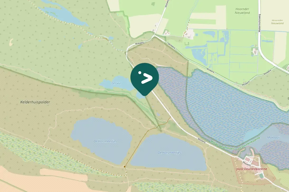 Waargenomen Roodborsttapuit