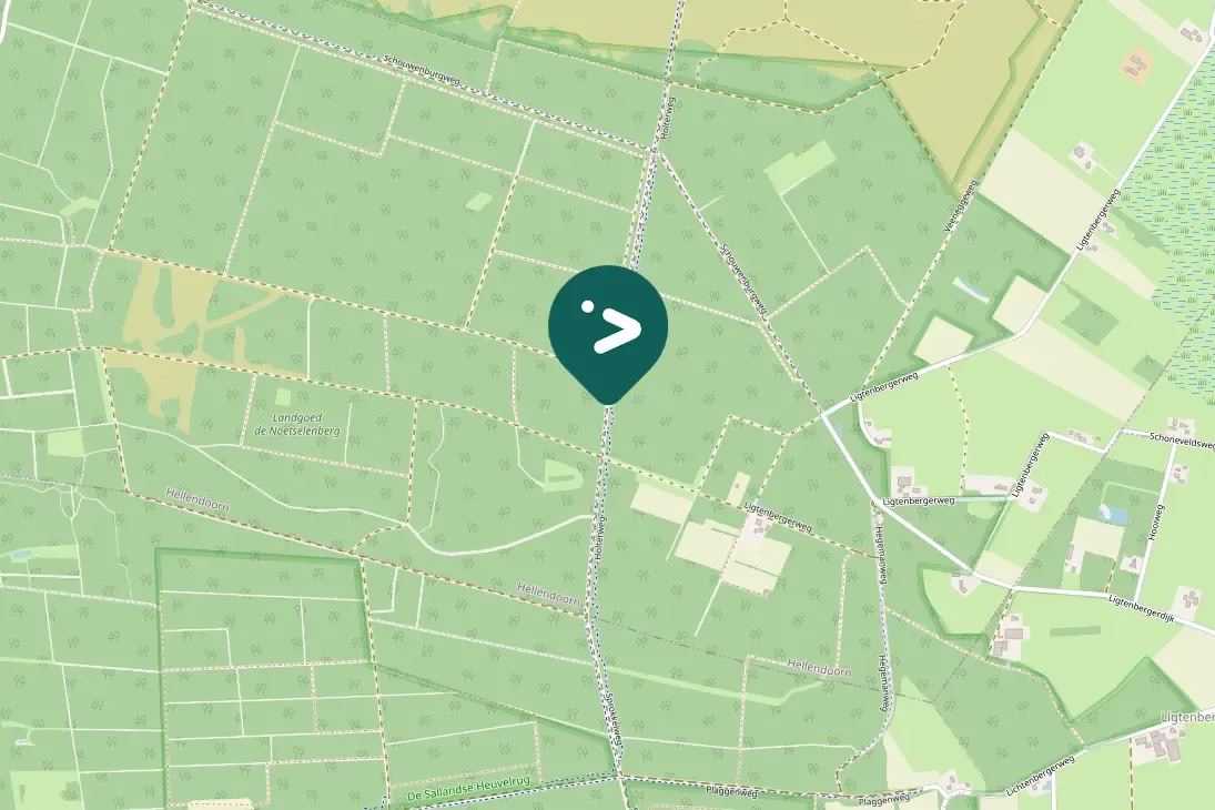 Waargenomen Buizerd