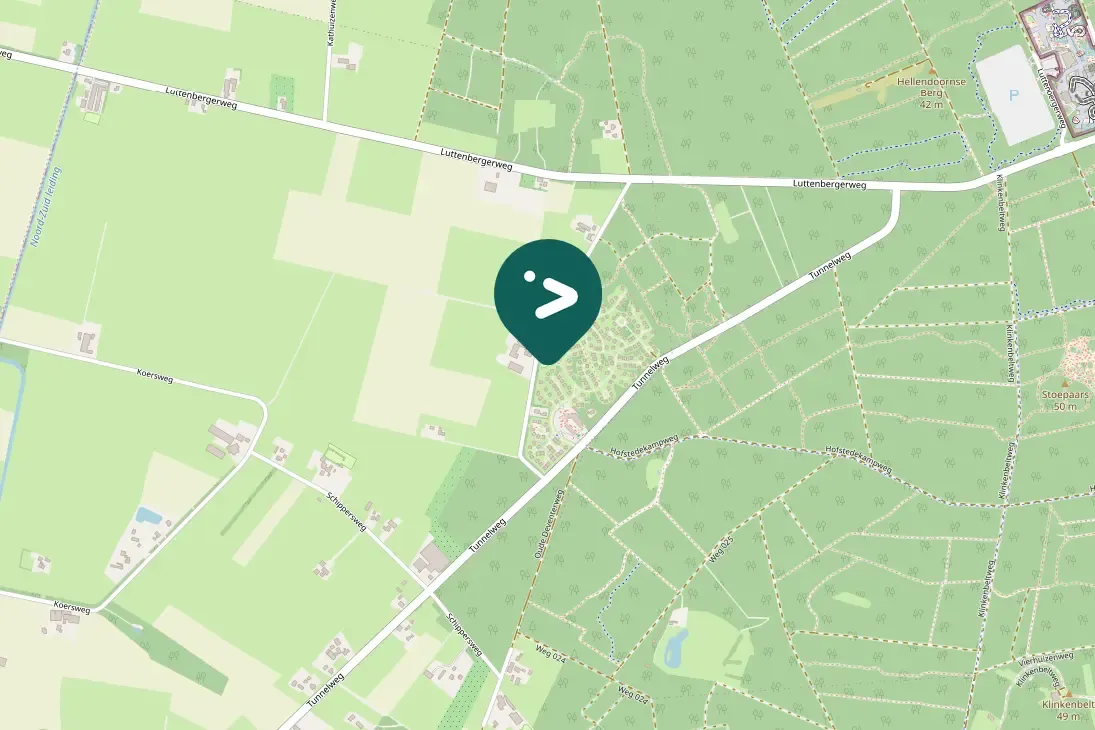 Waargenomen Kokmeeuw