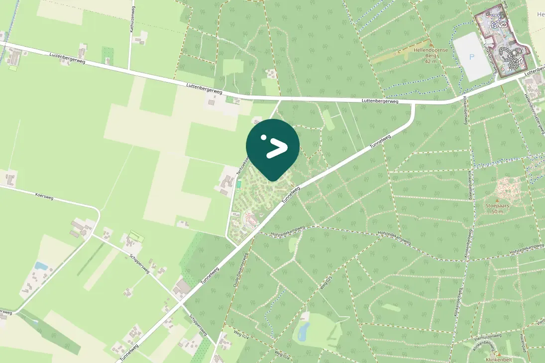 Waargenomen Groene specht