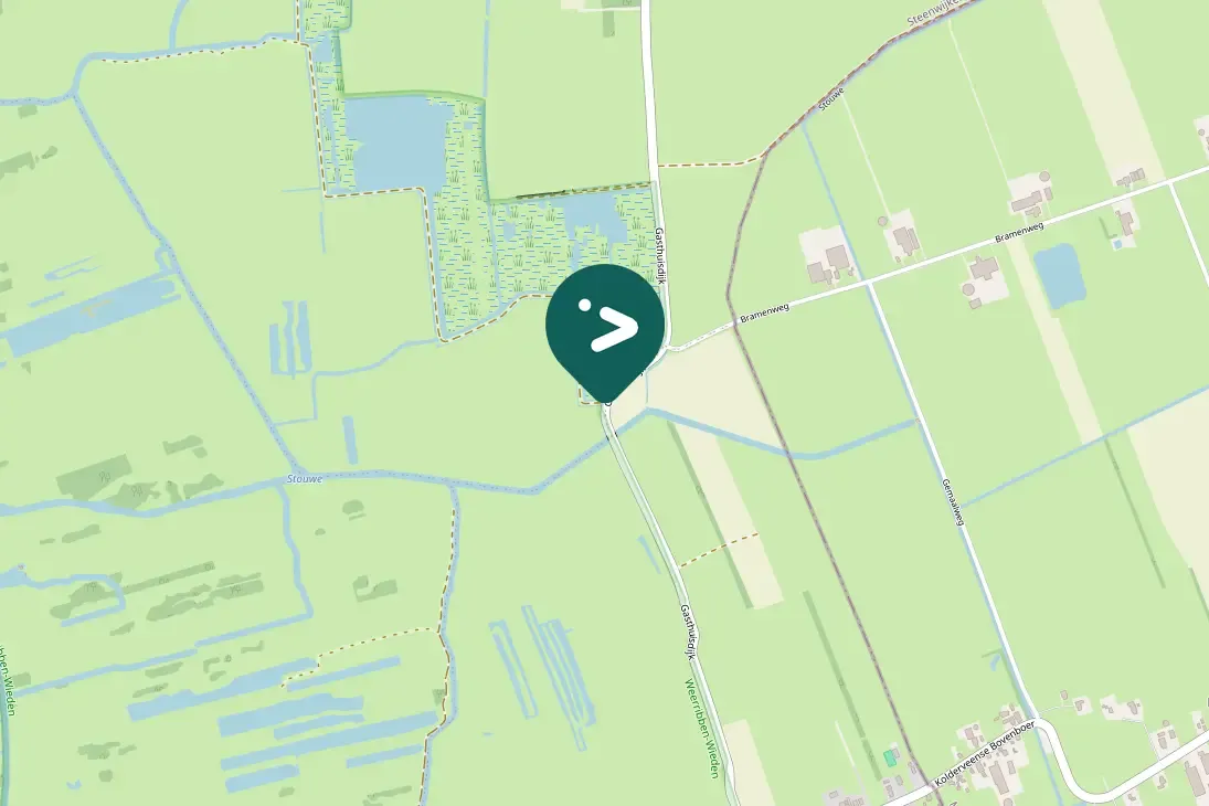 Waargenomen Westelijke koereiger