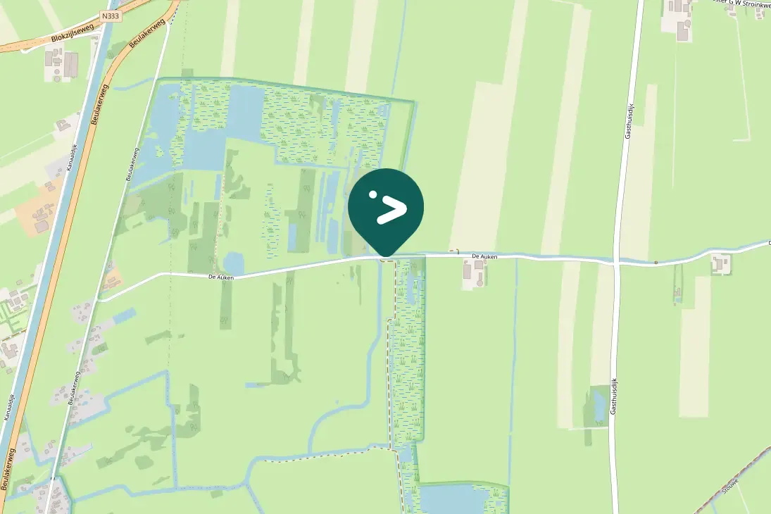 Waargenomen Grote zilverreiger