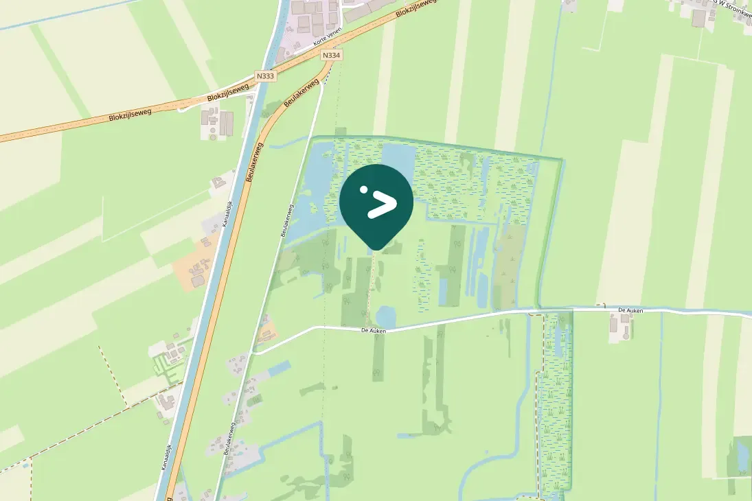 Waargenomen Koekoek