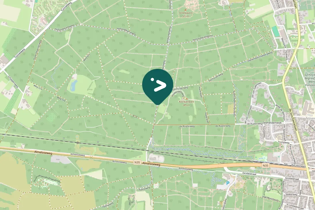 Waargenomen Groene specht
