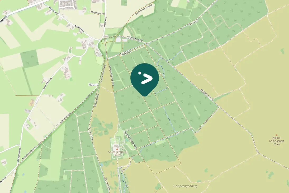 Waargenomen Zwartkop