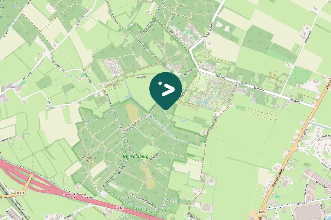 Waargenomen Middelste bonte specht