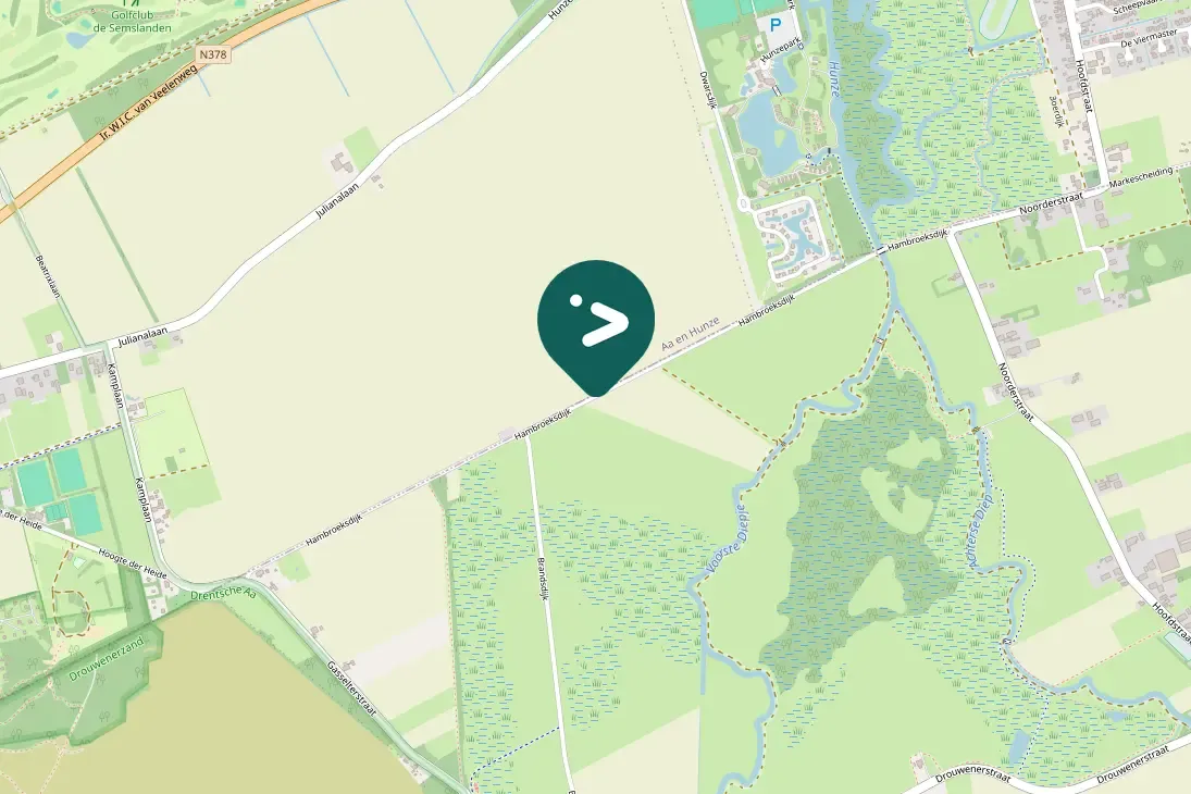 Waargenomen Grauwe gans