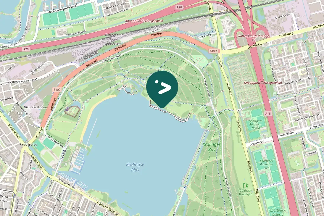 Waargenomen IJsvogel