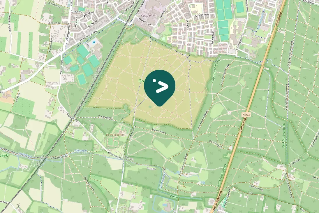 Waargenomen Groene specht