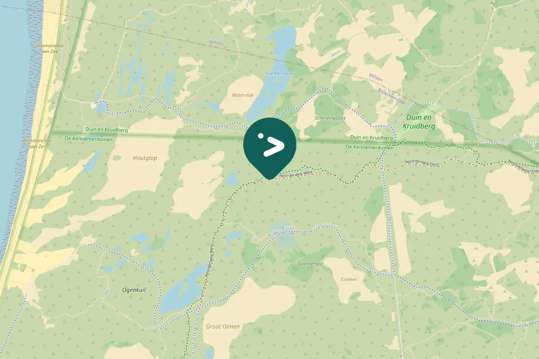 Waargenomen Roodborsttapuit