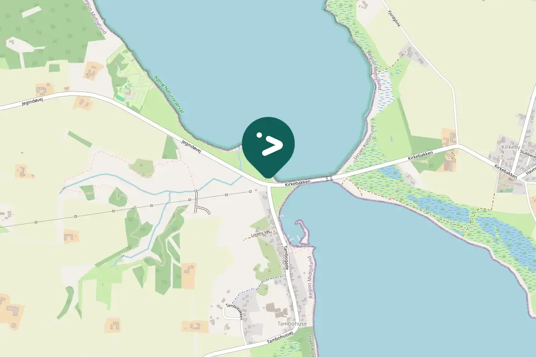 Waargenomen Aalscholver