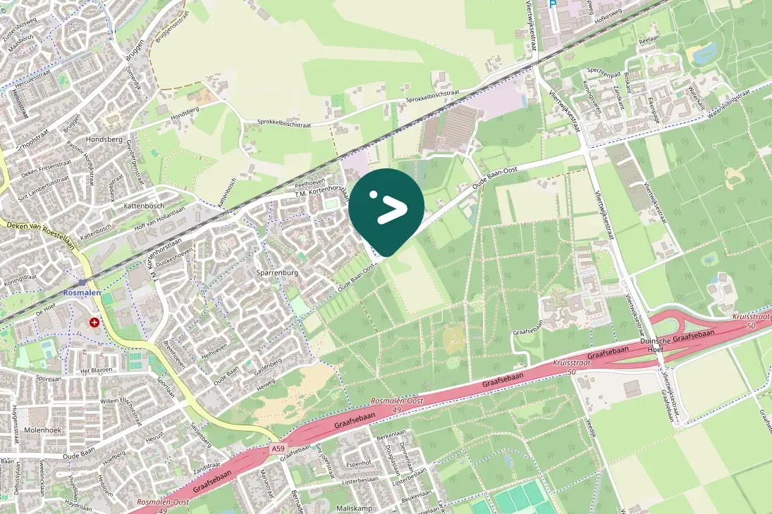Waargenomen Grauwe gans