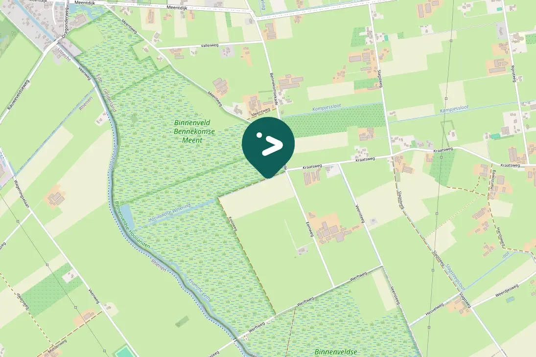 Waargenomen Gele kwikstaart