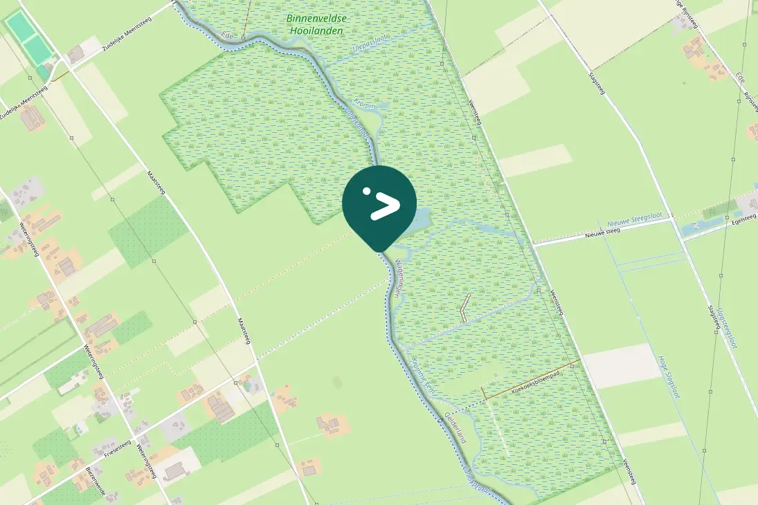 Waargenomen Aalscholver
