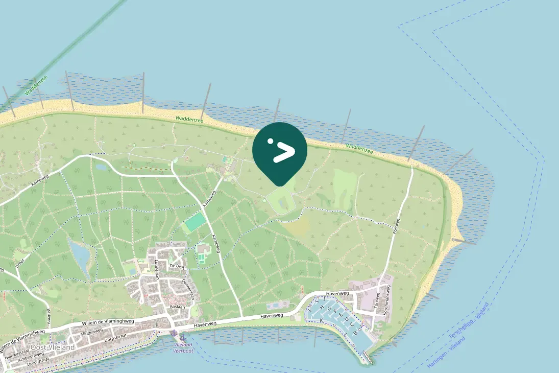 Waargenomen Strandplevier