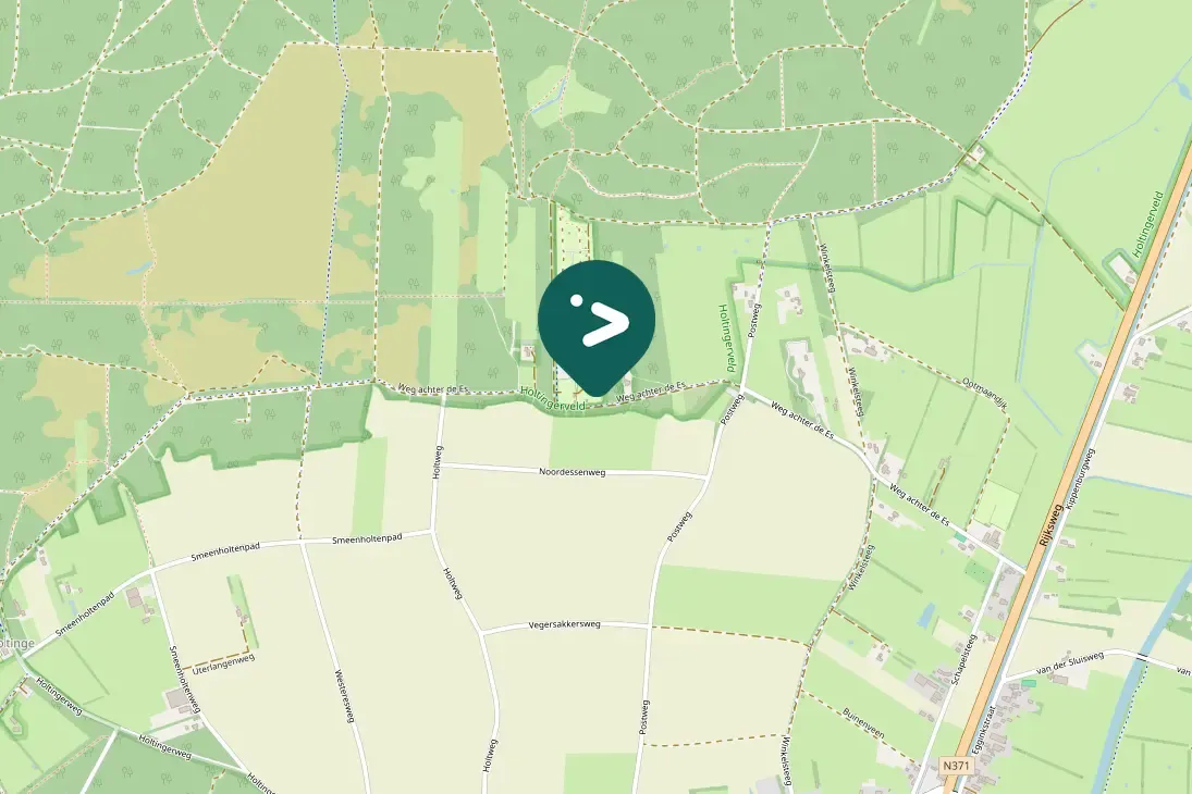 Waargenomen Groene specht