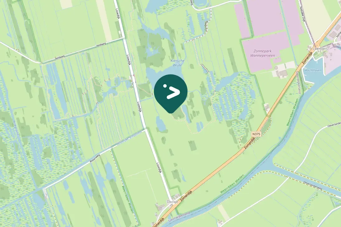 Waargenomen Knobbelzwaan