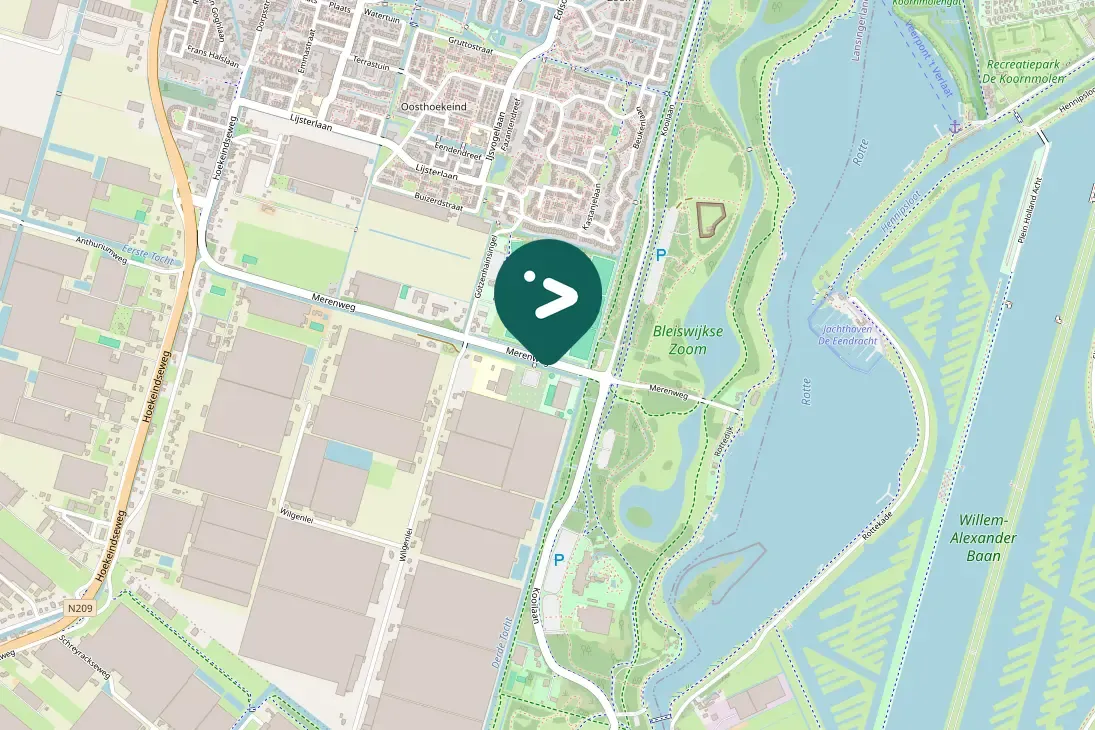 Waargenomen Groene specht