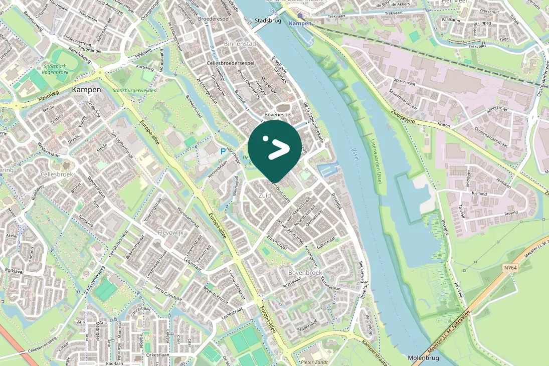 Waargenomen Turkse tortel