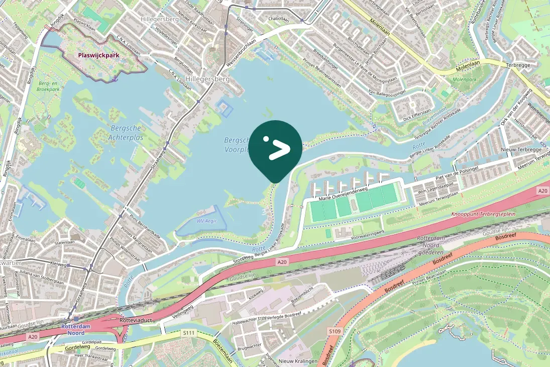 Waargenomen Gierzwaluw