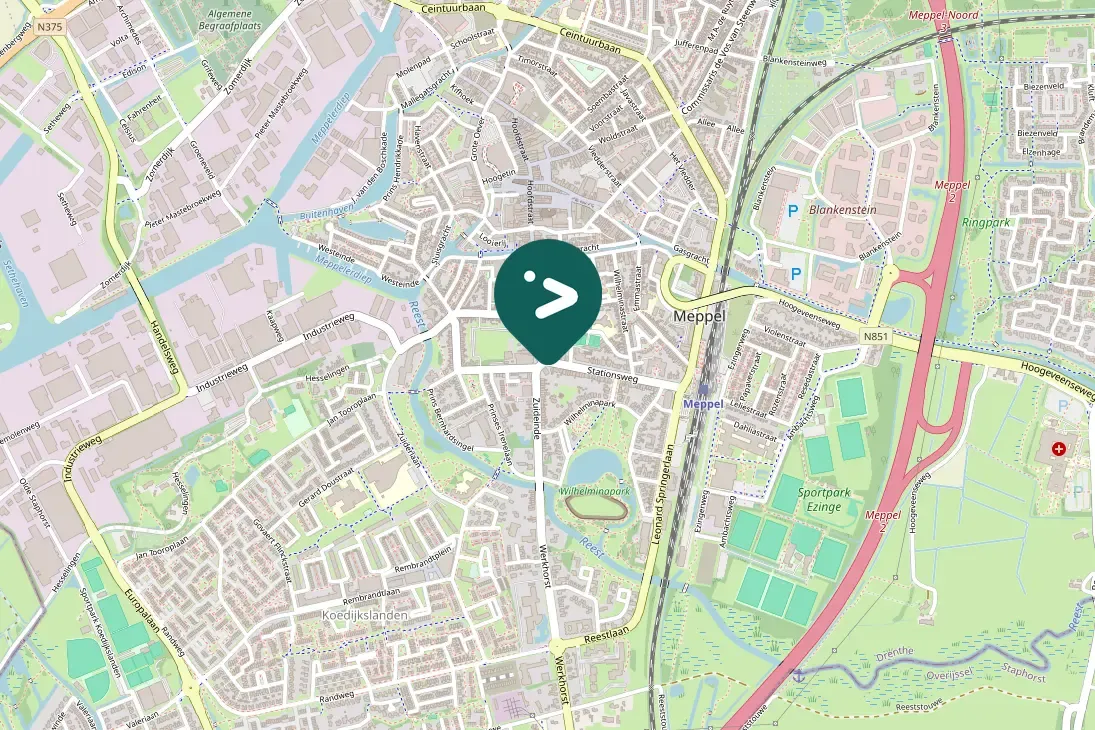 Waargenomen Gierzwaluw