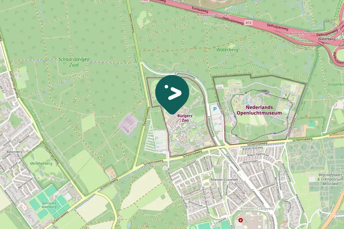 Waargenomen Groene specht