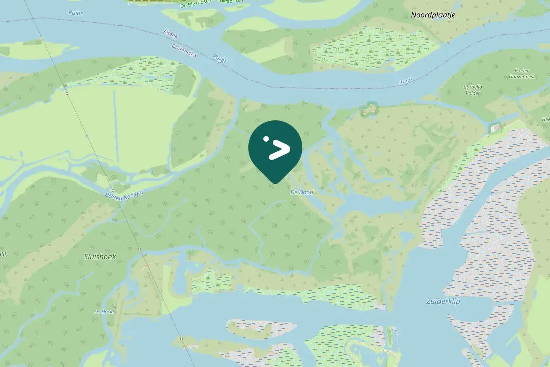 Waargenomen Lepelaar