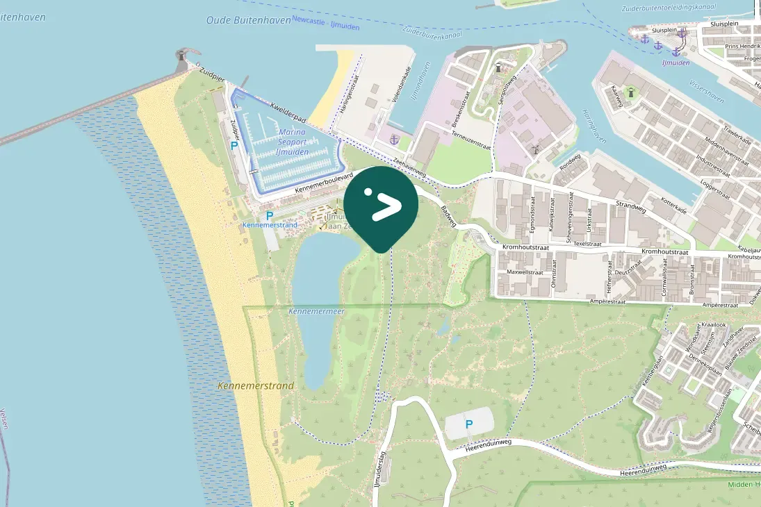 Waargenomen Geelpootmeeuw