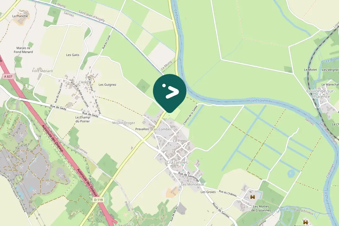 Waargenomen Zomertortel